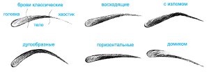 Какие бывают формы бровей